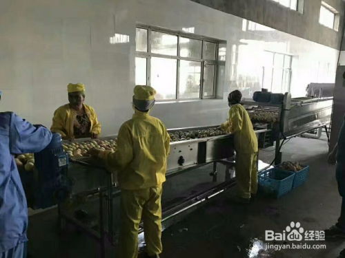 RF67減速機與擺線針輪減速機選型指南 聚焦B系列擺線針輪減速機