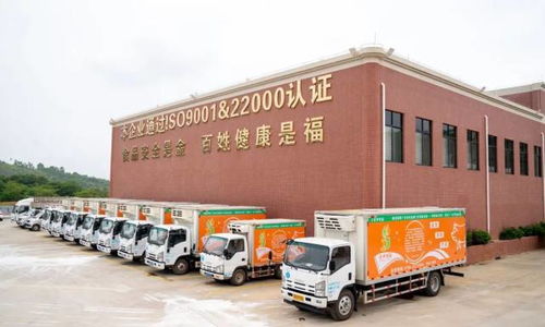 廣東羅定天溪冷鏈物流產(chǎn)地倉一期項(xiàng)目正式動(dòng)工，助力海淘物流升級(jí)